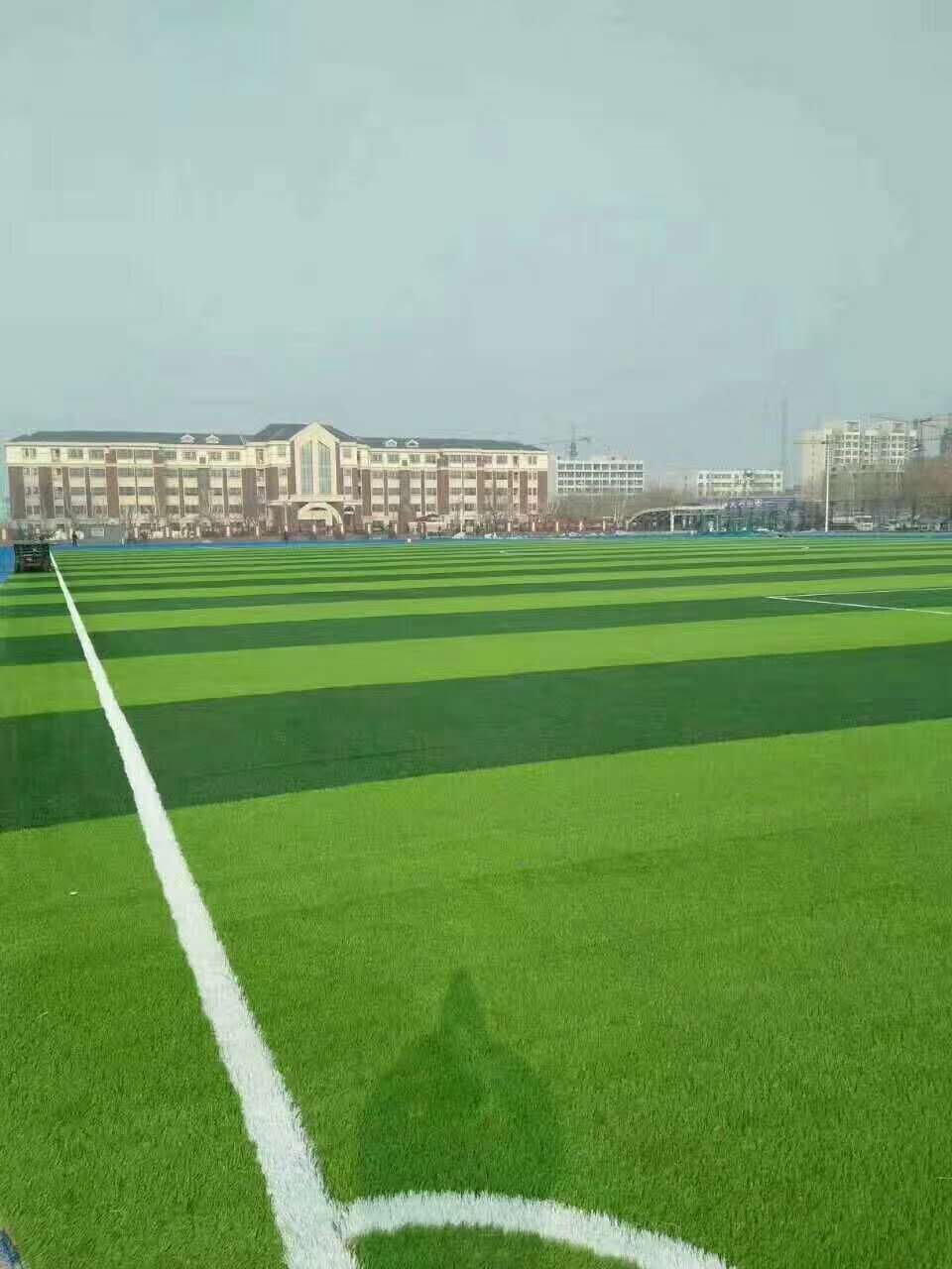 榆林市透水跑道仿真草坪 - 哪里好